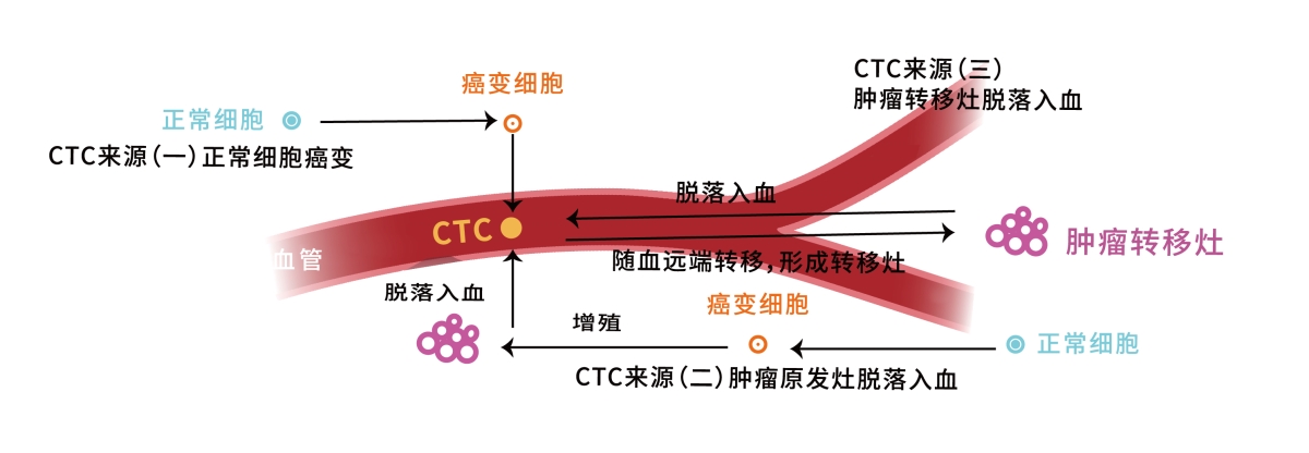 CTC����ͼ.jpg