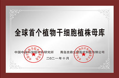 emc�ױ���(�й���½)�ٷ���վ