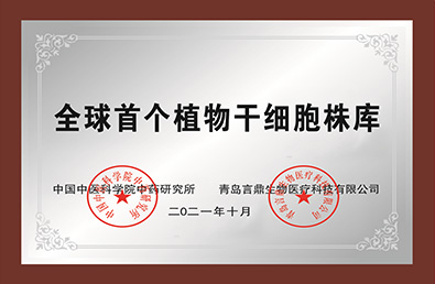 emc�ױ���(�й���½)�ٷ���վ