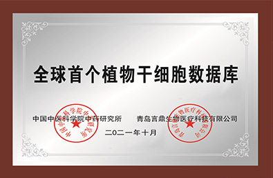 emc�ױ���(�й���½)�ٷ���վ