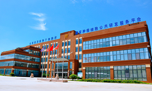 ���������¡�ͻ�� �ӿ췢չ���ʳ�����